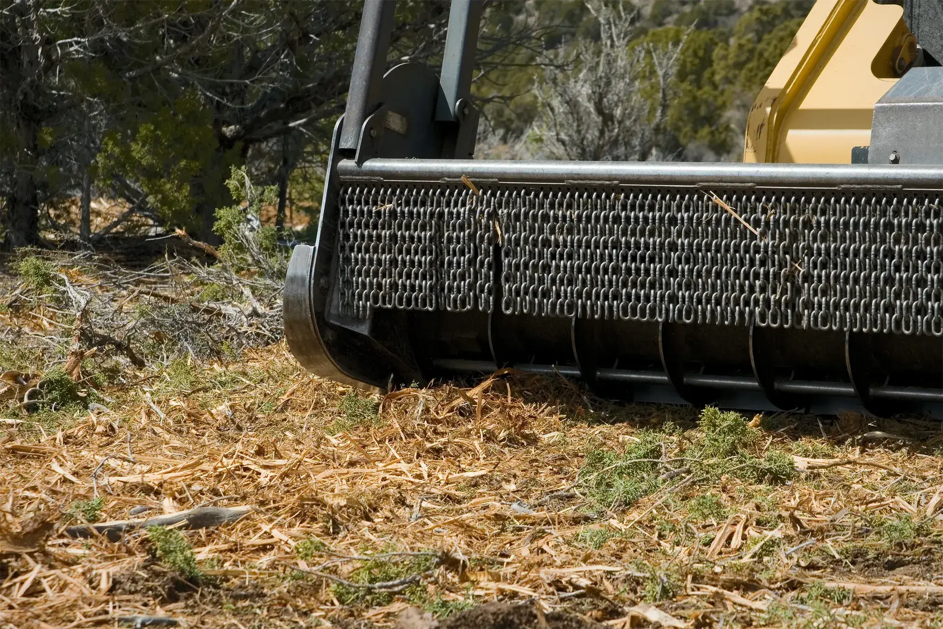 Tree Service